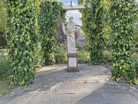 White statue under an ivy pergola, photographed with the Galaxy A57
