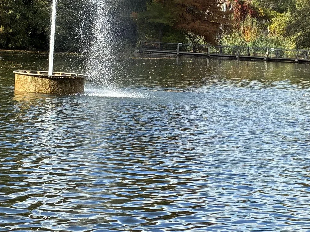 Fountain and pond, photographed with the iPhone 17e, centre crop