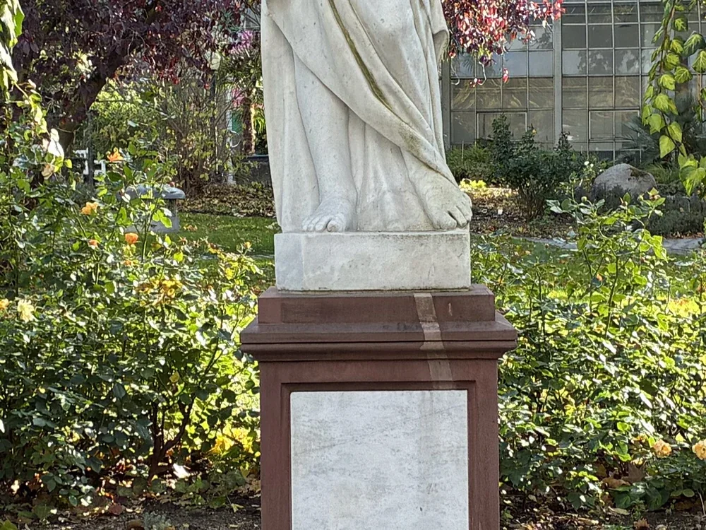 Statue under ivy, photographed with the iPhone 17e, centre crop