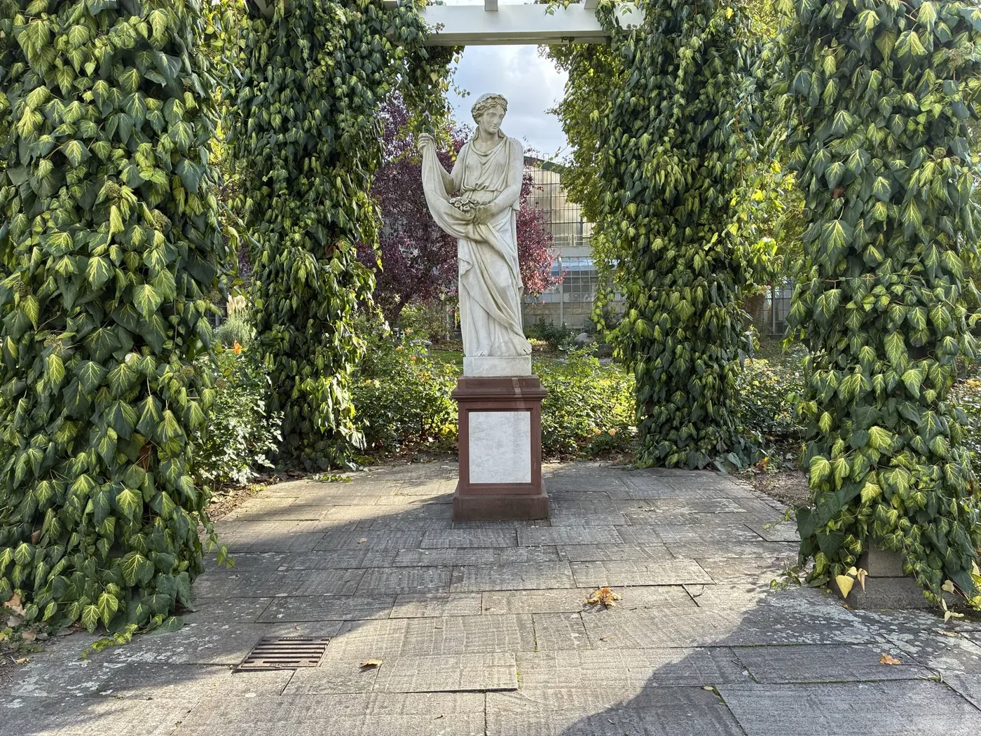 Statue under ivy, photographed with the iPhone 17e