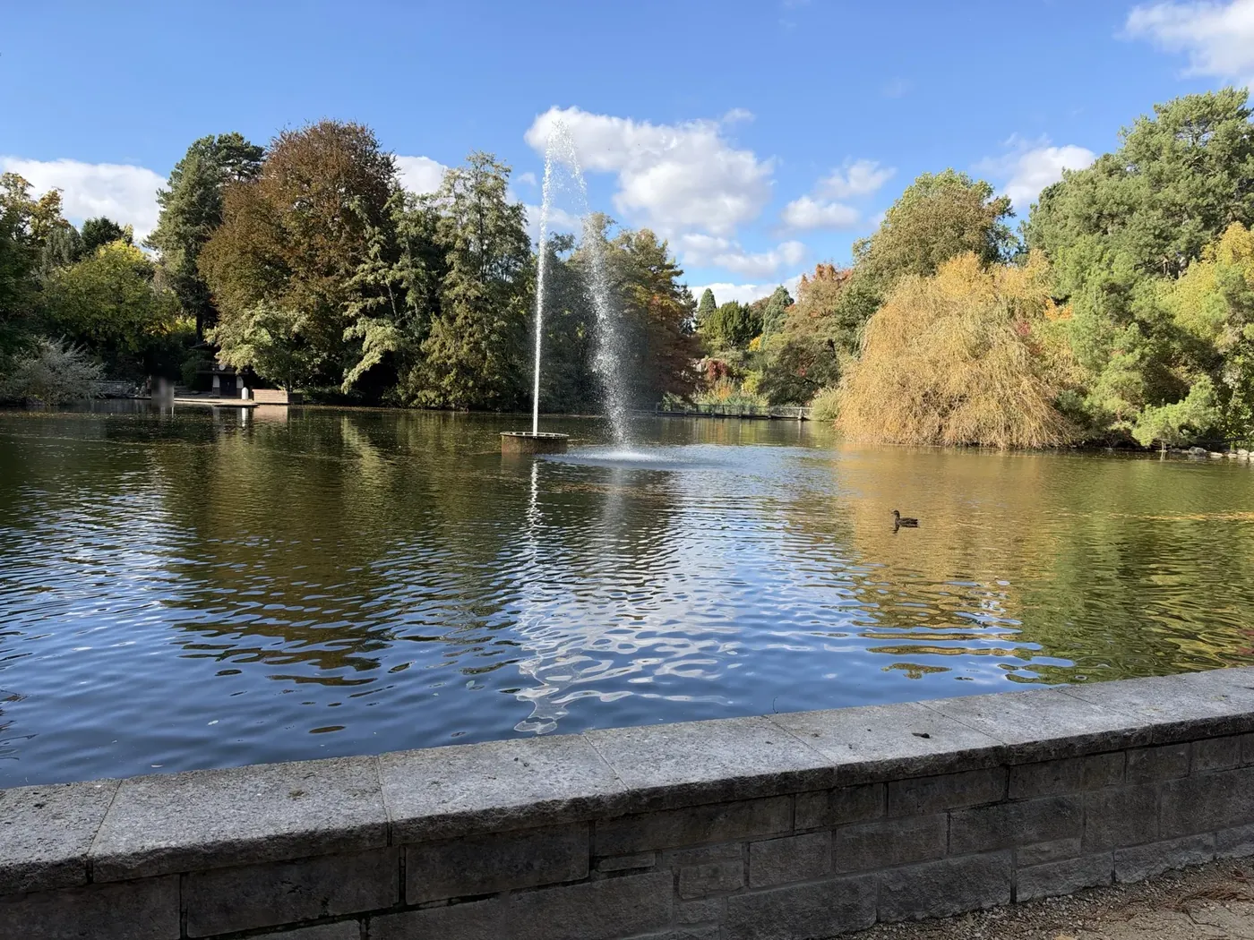 Fountain and pond, photographed with the iPhone 18 Pro
