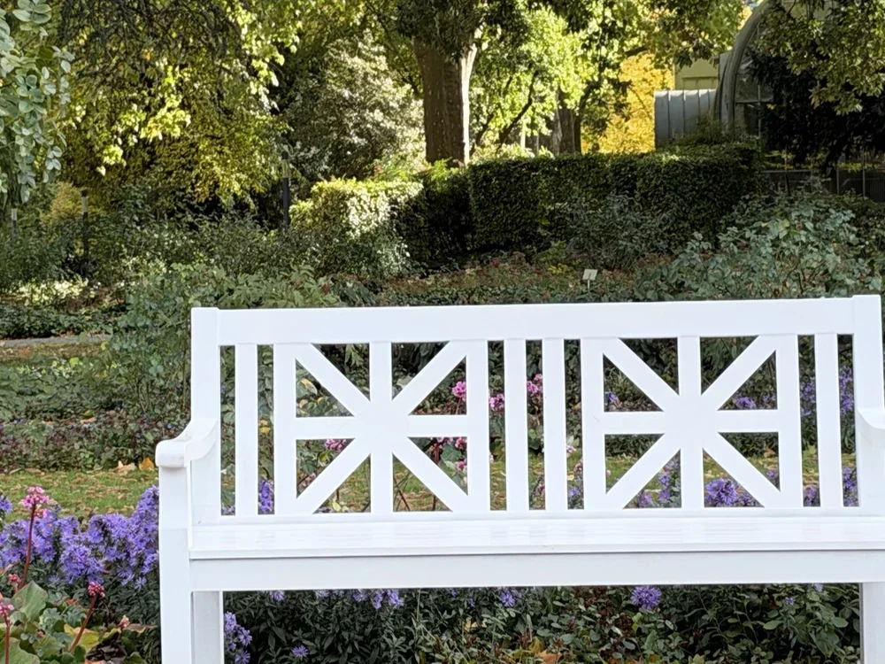 Bench and asters, photographed with the iPhone 18 Pro, centre crop
