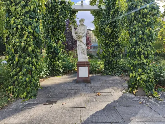 White statue under an ivy pergola, photographed with the Redmi Note 15 Pro 5G