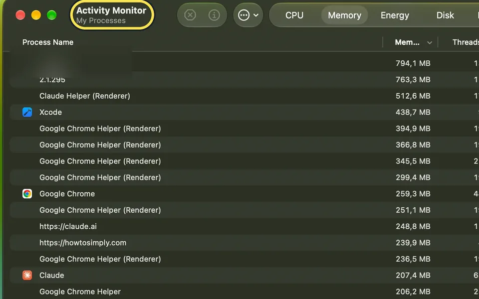 Screenshot from the guide: How to use Activity Monitor on a Mac