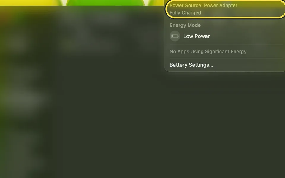 Screenshot from the guide: MacBook not charging? 4 fixes to try