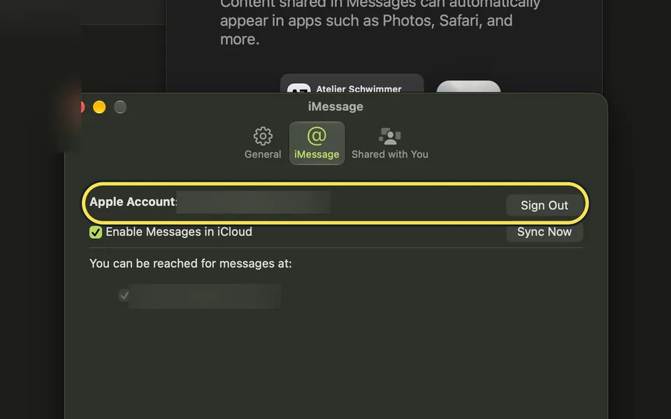 Screenshot from the guide: Messages not working on a Mac? 4 things to check