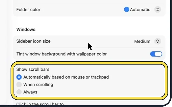 Screenshot from the guide: How to always show scroll bars on a Mac
