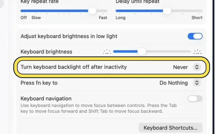 Screenshot from the guide: How to change the keyboard backlight on a MacBook