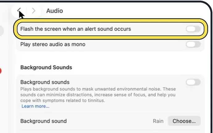 Screenshot from the guide: How to make a Mac flash the screen for alerts