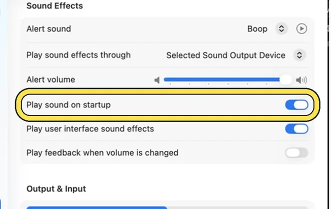 Screenshot from the guide: How to turn off the startup sound on a Mac