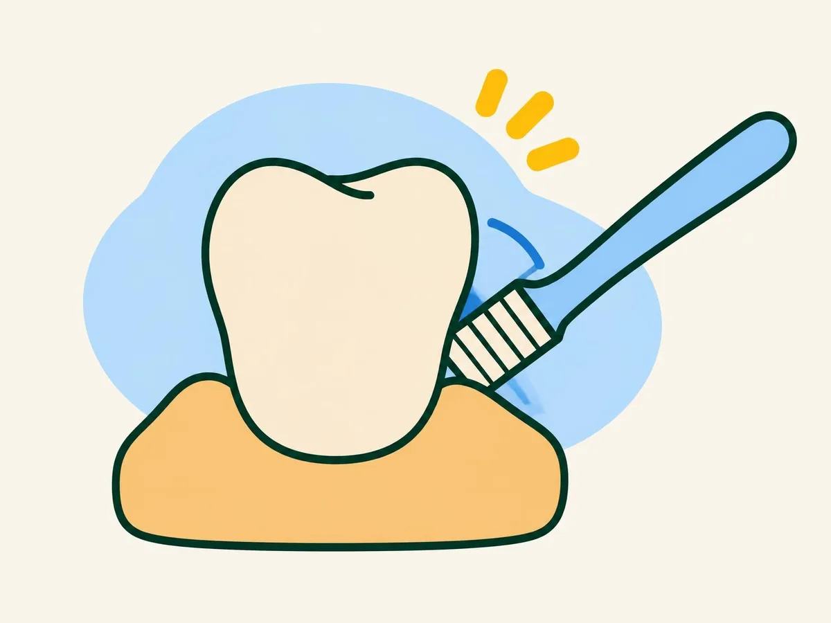 Illustration of a close-up of a toothbrush tilted against the line where the teeth meet the gums