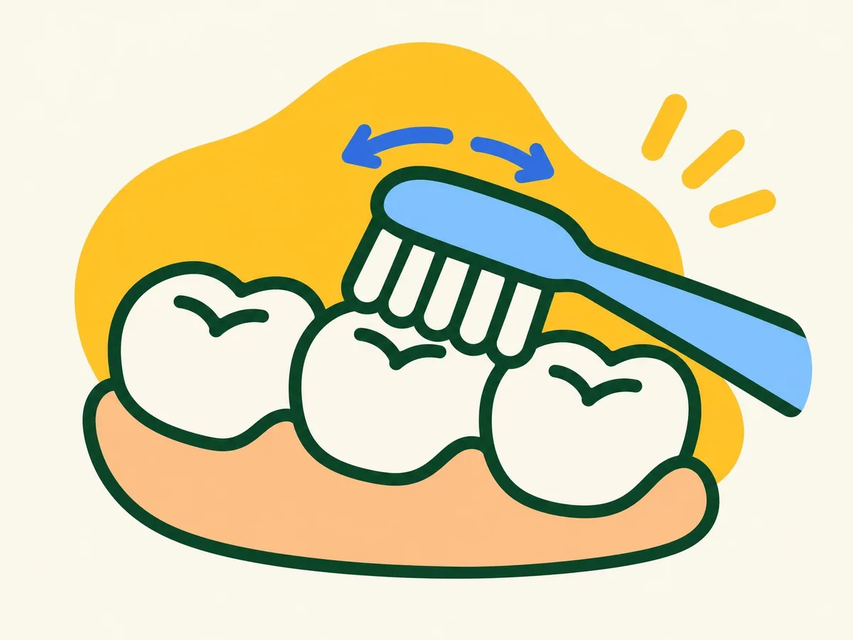 Illustration of a toothbrush on the outer side of the back teeth with small curved arrows showing short strokes
