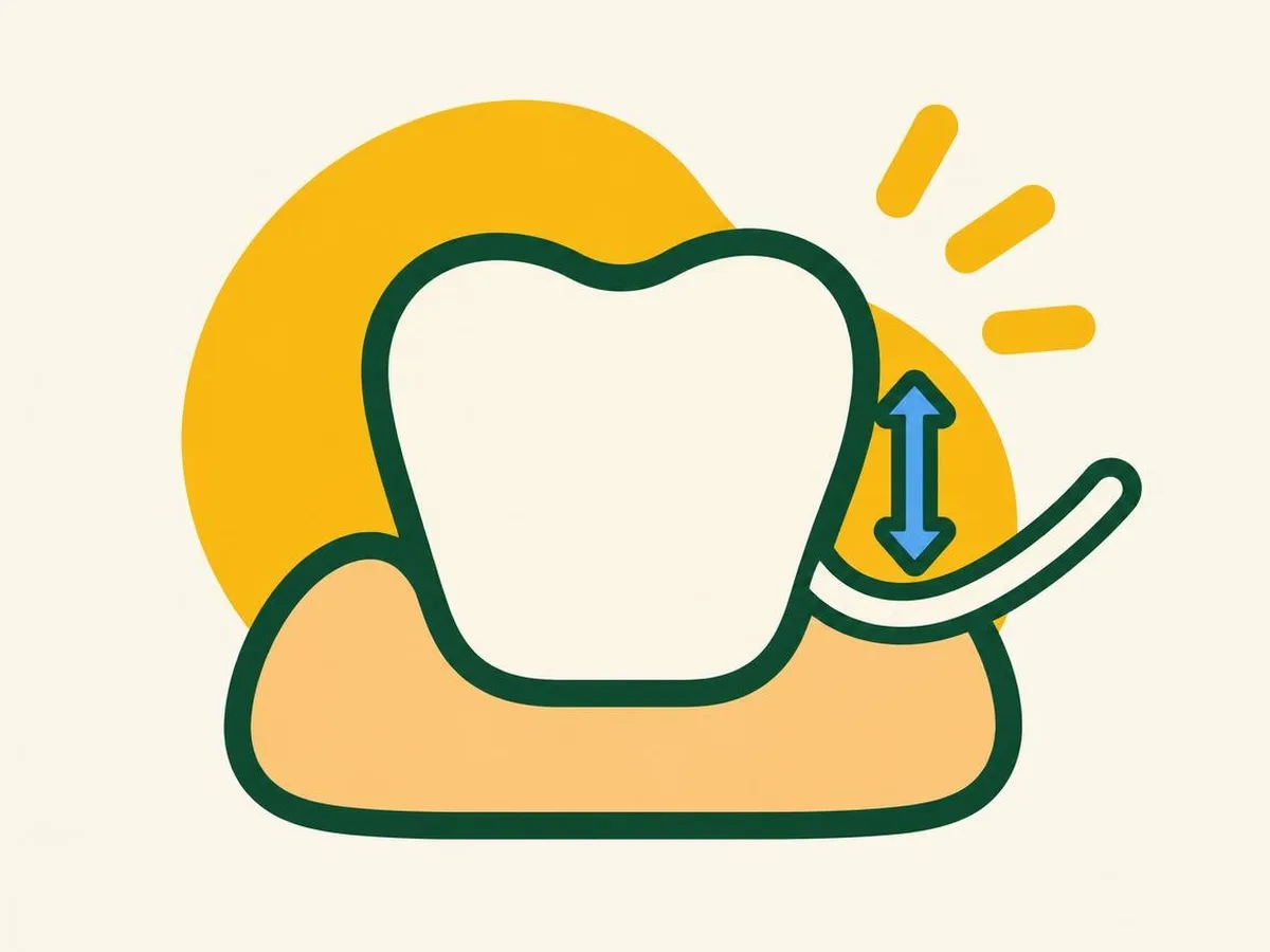 Illustration of floss curved in a C shape around the side of one tooth at the gum line, with an up-and-down arrow