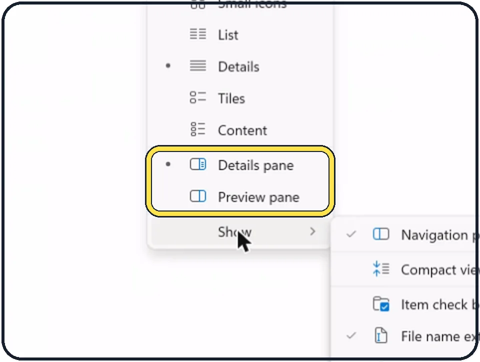 Windows screenshot: Preview pane or Details pane