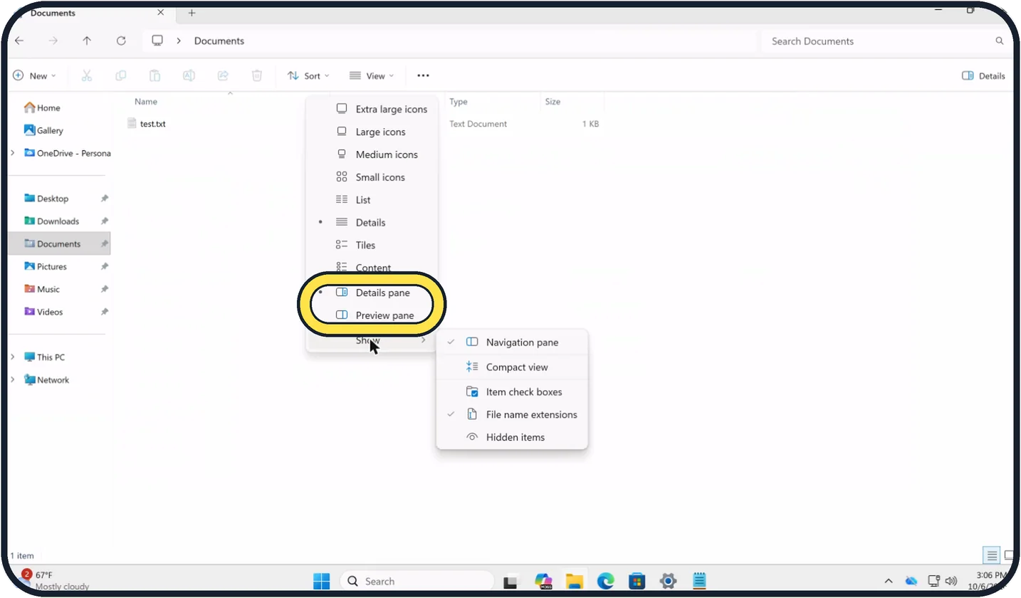 Windows screenshot: Preview pane or Details pane