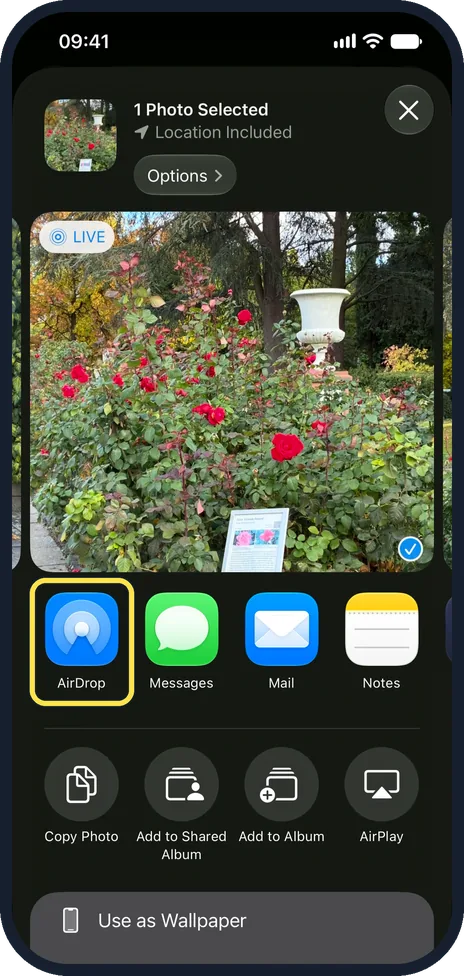 iPhone screen: On the iPhone, tap Share, then AirDrop