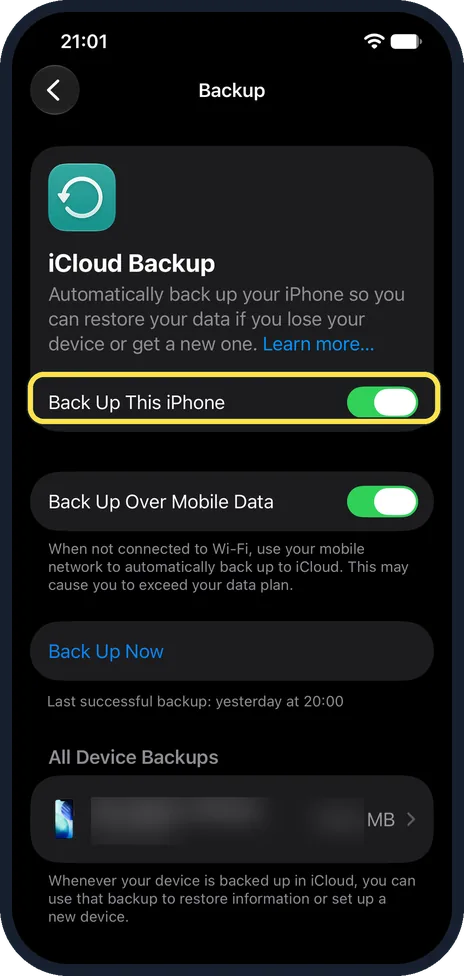 iPhone screen: Switch on Back Up This iPhone
