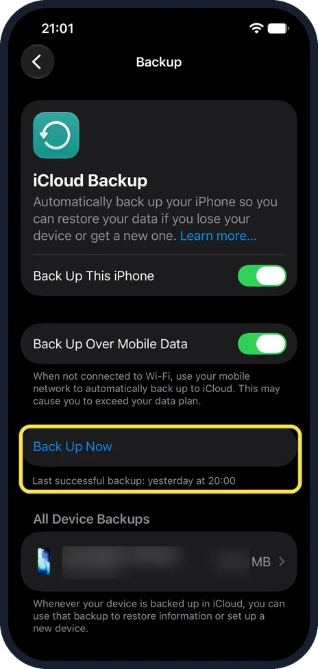 iPhone screen: Tap Back Up Now