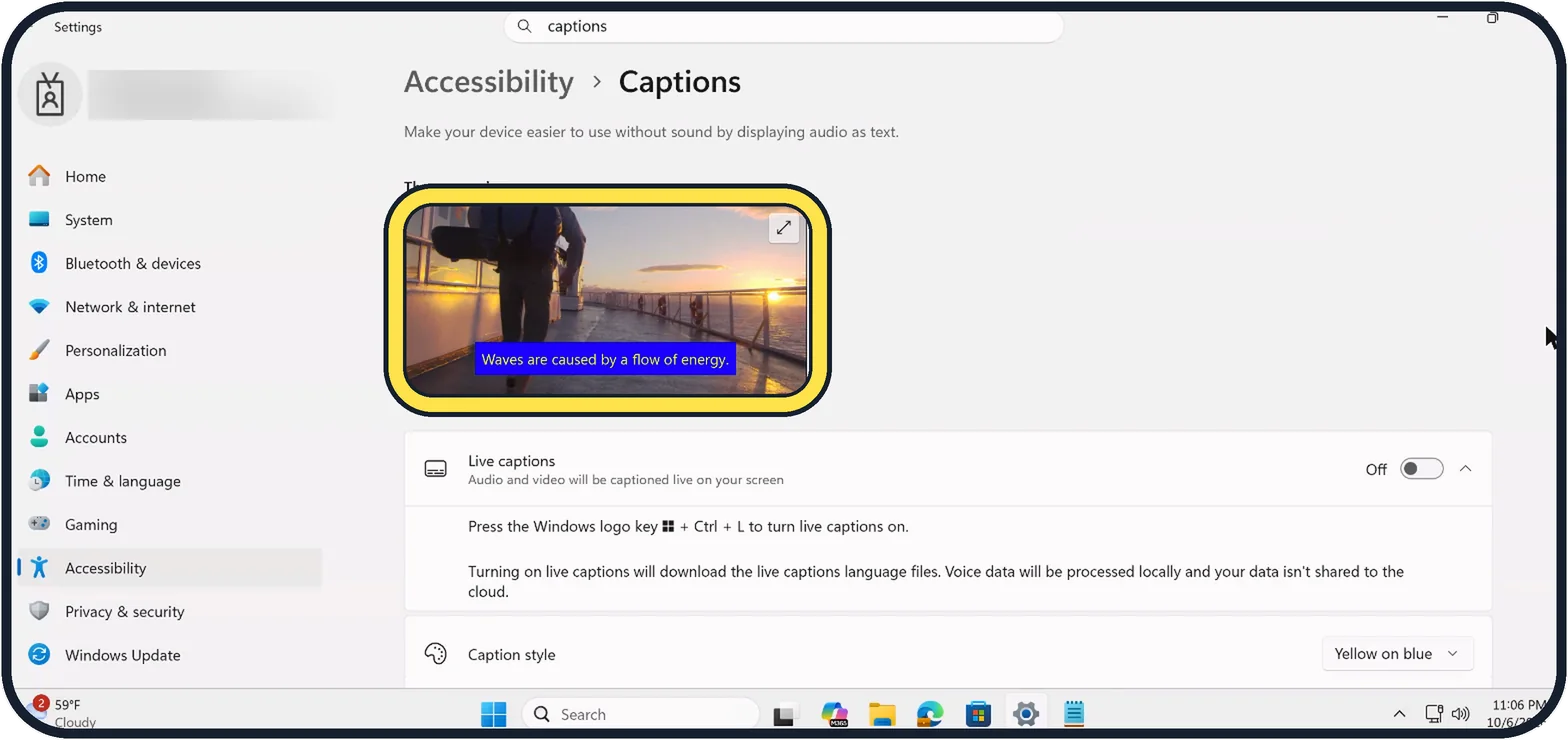 Windows screenshot: Check the preview