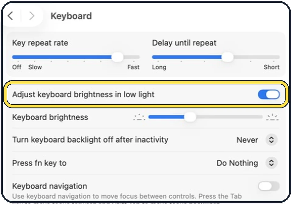 Mac screenshot: Decide about the automatic mode