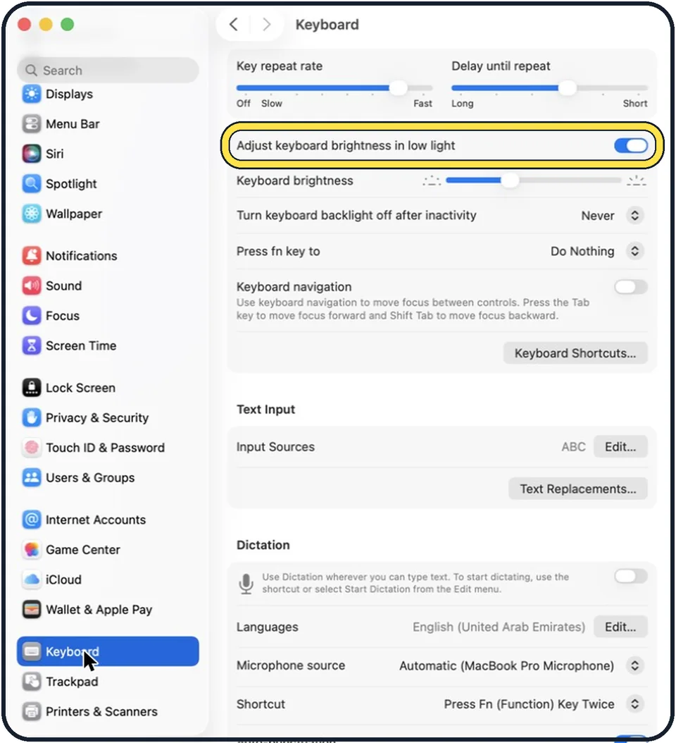 Mac screenshot: Decide about the automatic mode