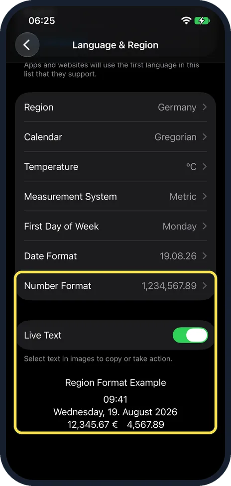 iPhone screen: Check the example