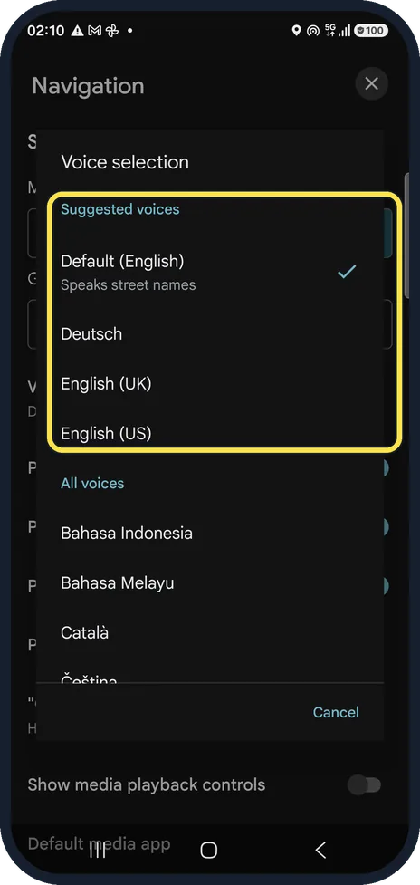 Android screenshot: Pick a voice