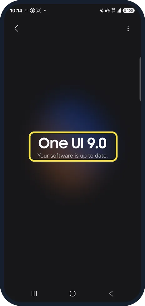 Android screenshot: Check for an update