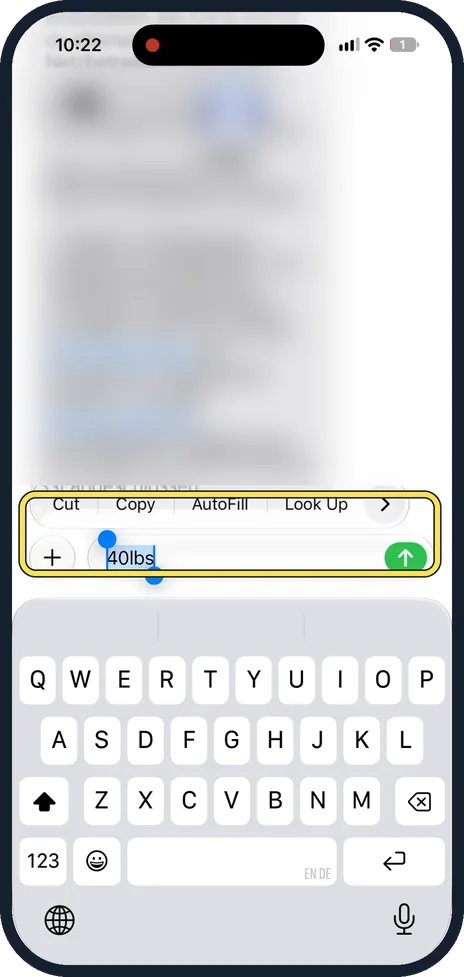 iPhone screen: Select it