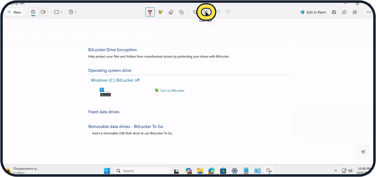 Windows screenshot: Click Scan text
