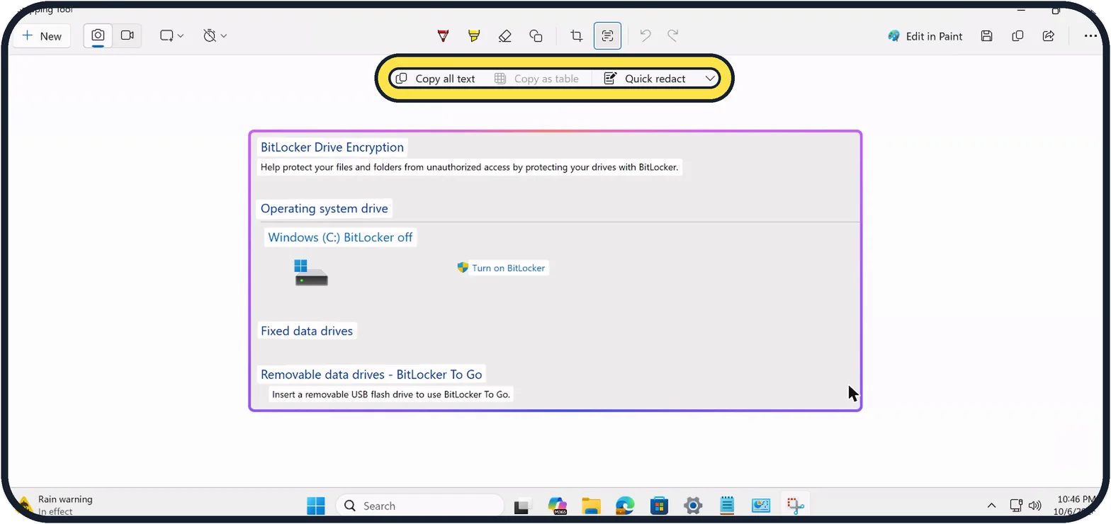 Windows screenshot: Copy all text