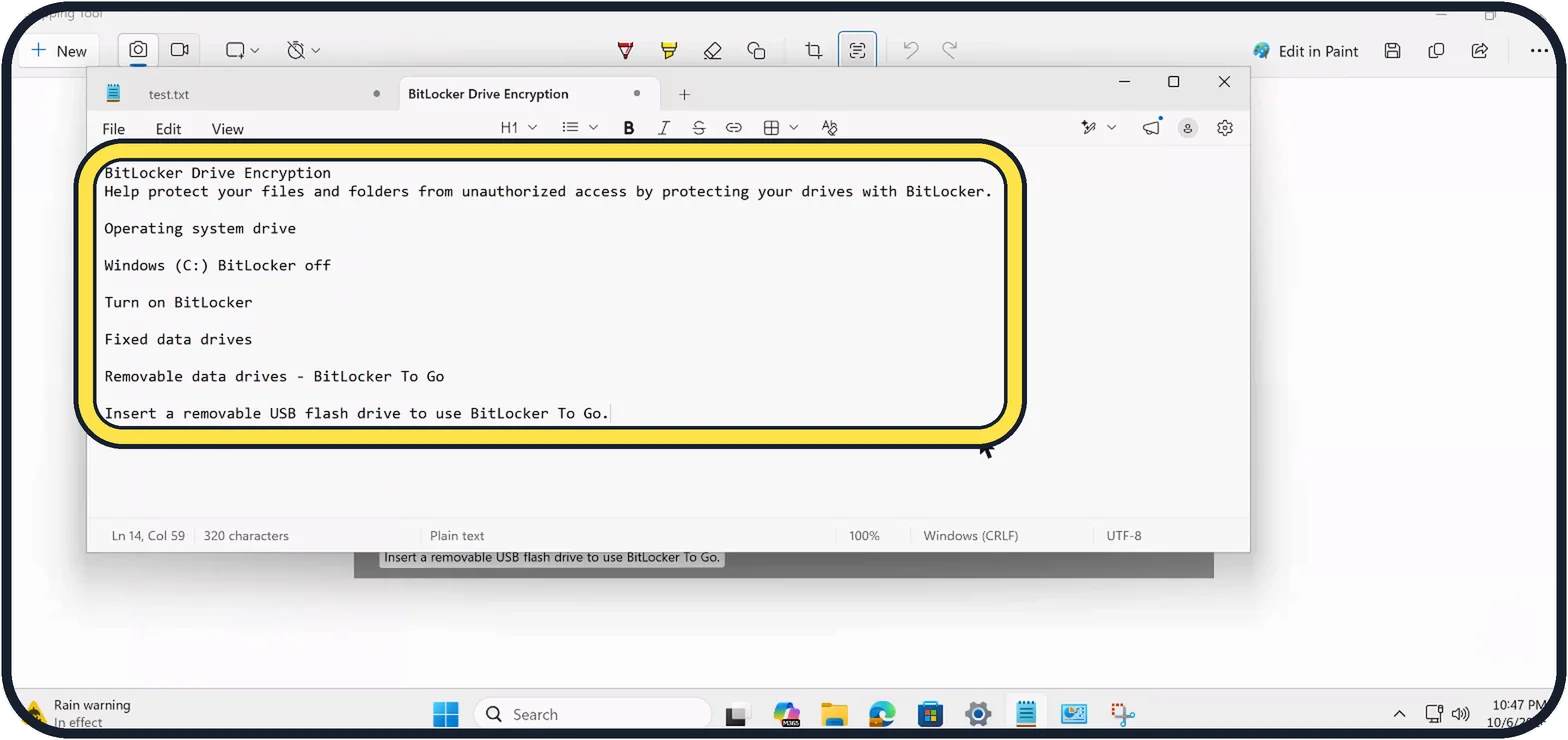 Windows screenshot: Paste it