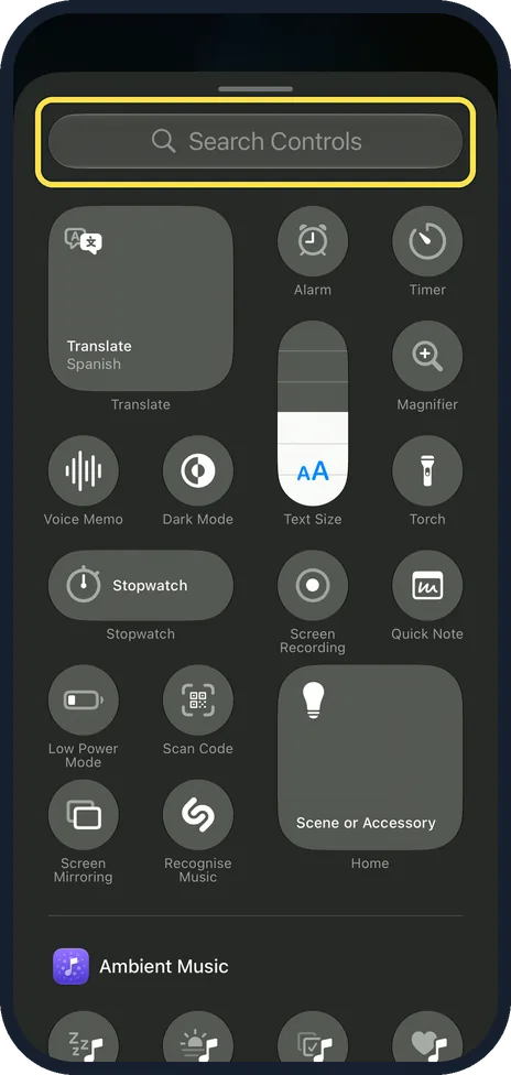 iPhone screen: Choose a control