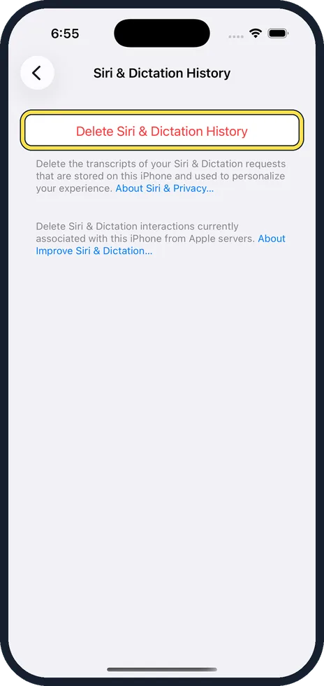 iPhone screen: Tap Delete Siri & Dictation History