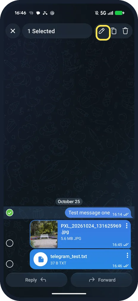 Screenshot from the guide: How to edit, pin or delete a Telegram message on Android