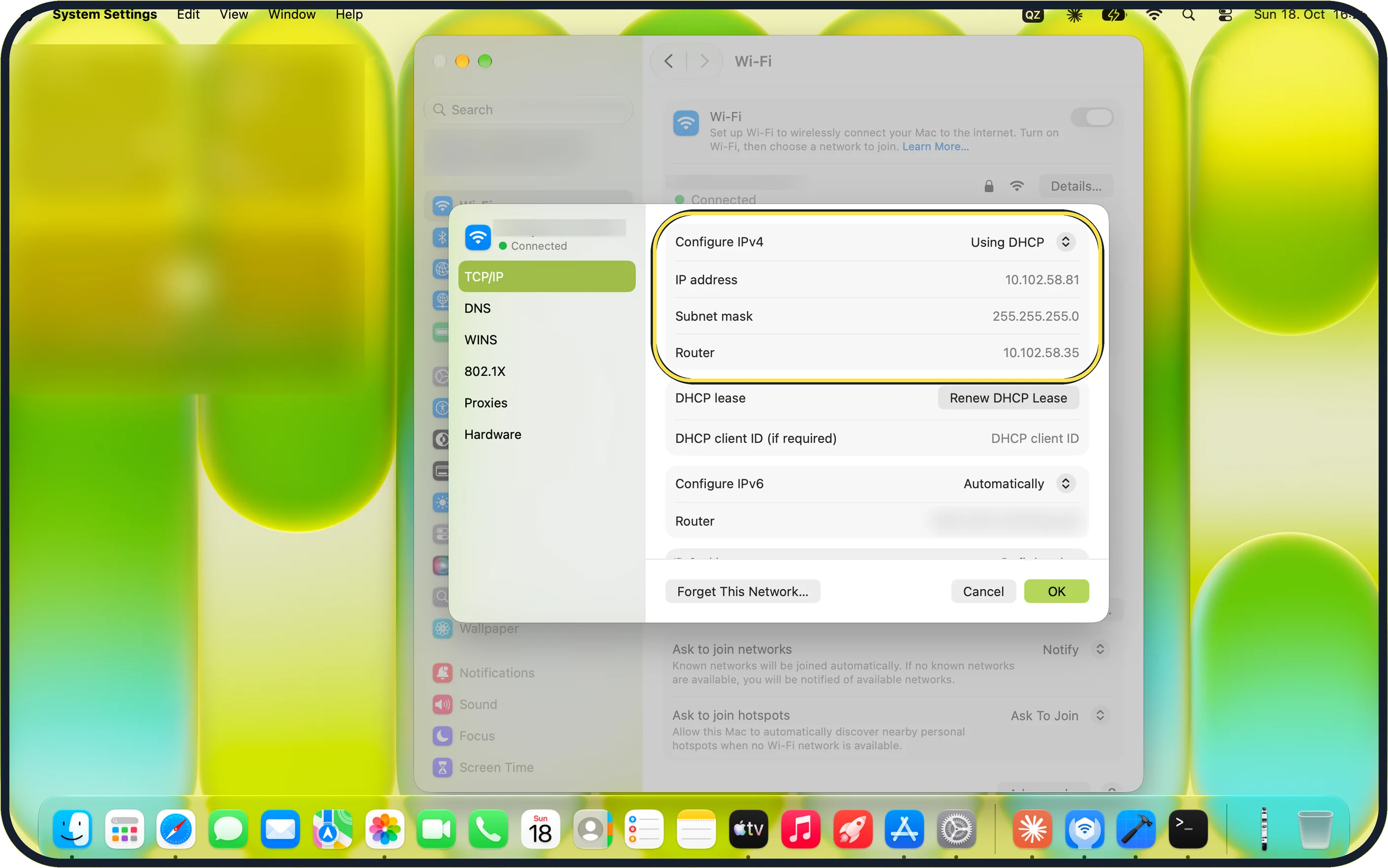 Mac screenshot: Check TCP/IP