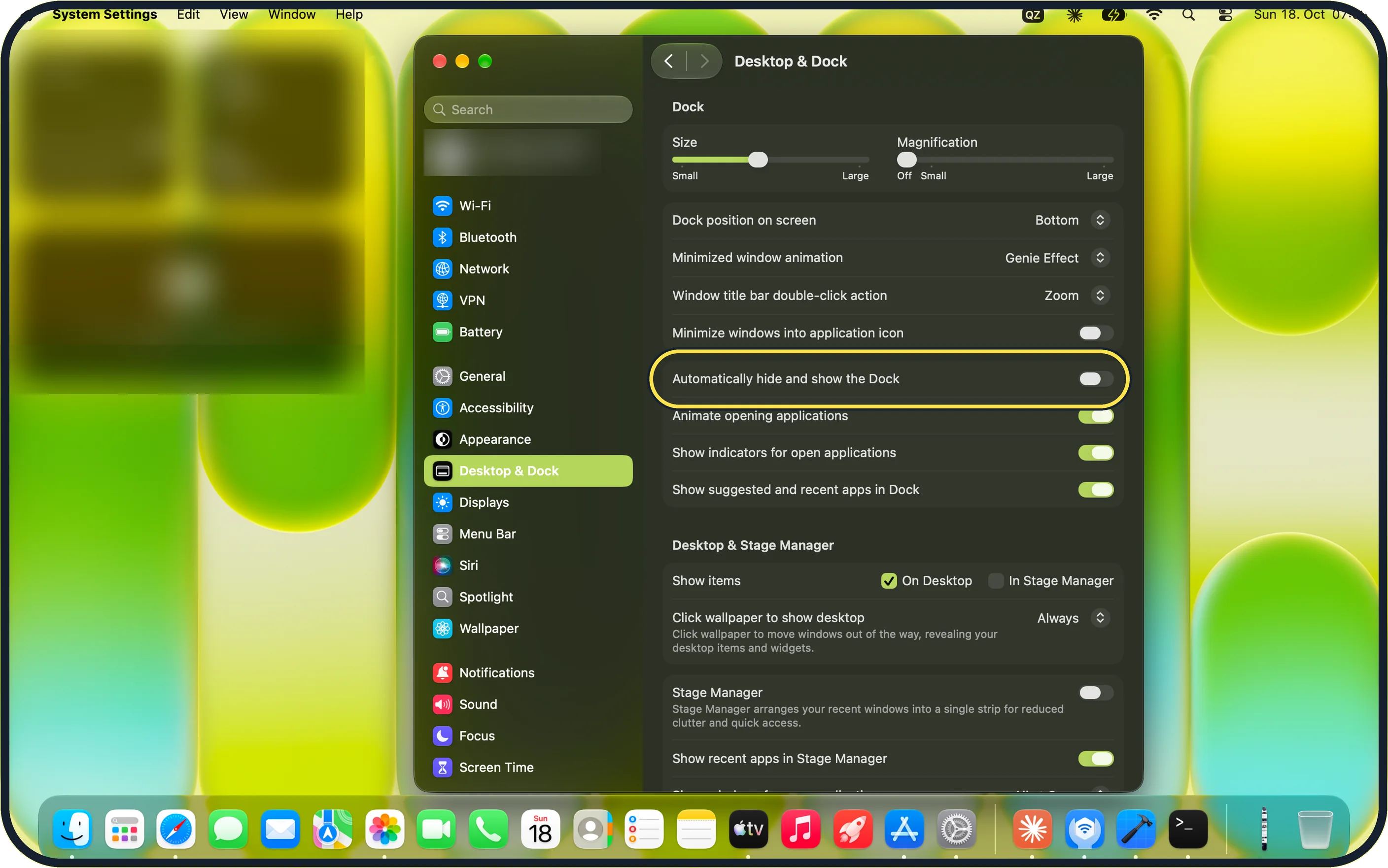 Mac screenshot: Switch on Automatically hide and show the Dock