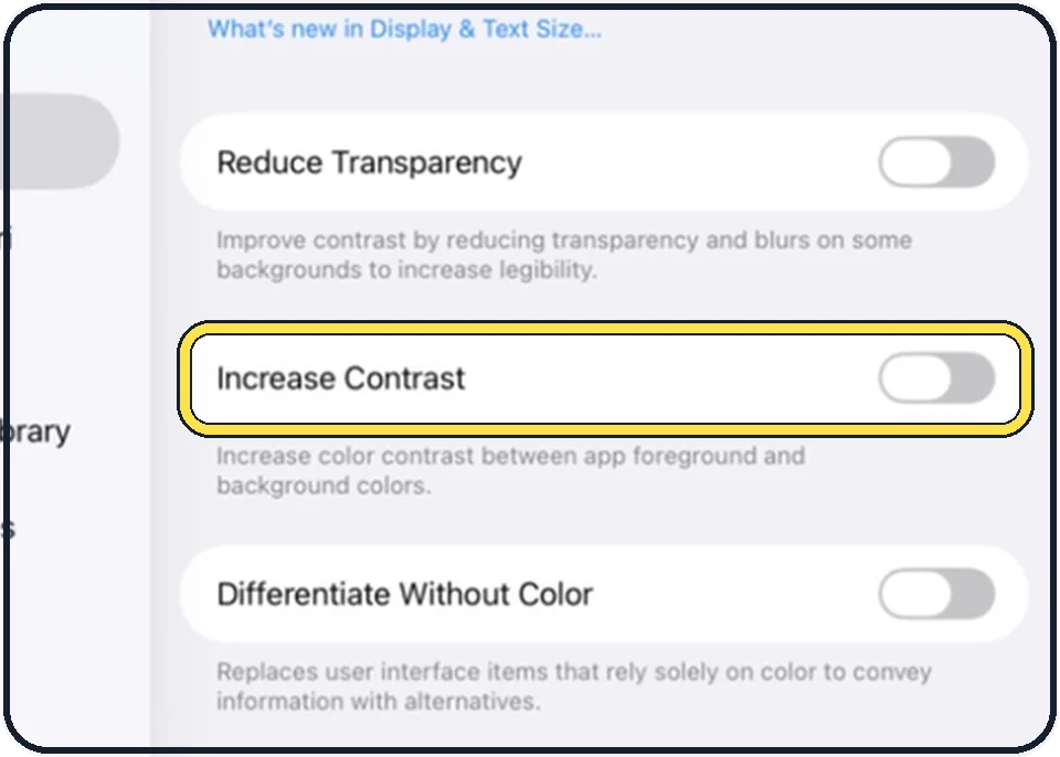 iPad screenshot: Switch on Increase Contrast