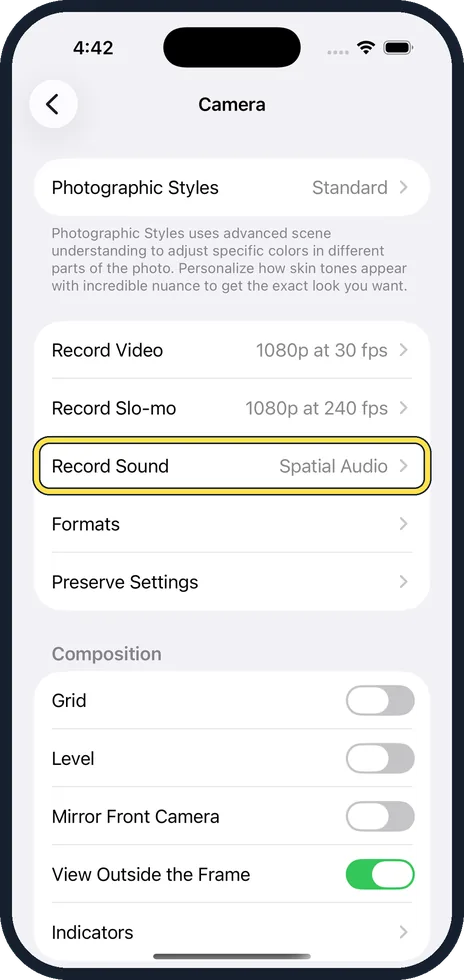iPhone screen: Tap Record Sound
