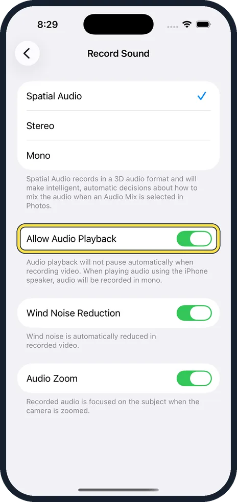 iPhone screen: Switch on Allow Audio Playback