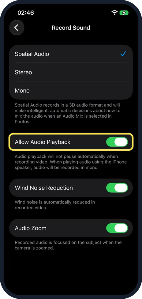 iPhone screen: Switch on Allow Audio Playback