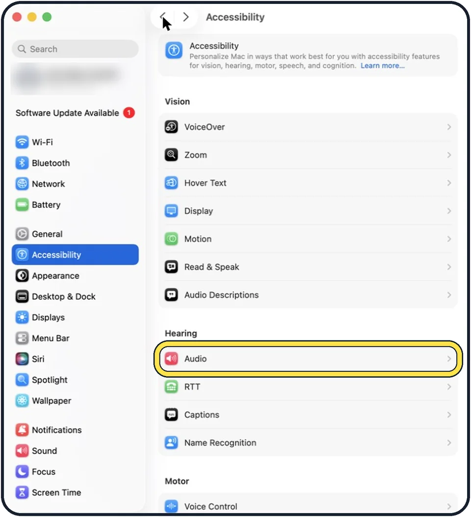 Mac screenshot: Click Accessibility, then Audio
