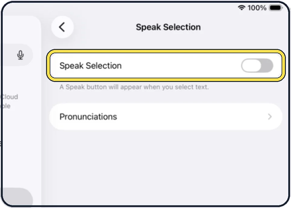 iPad screenshot: Switch on Speak Selection