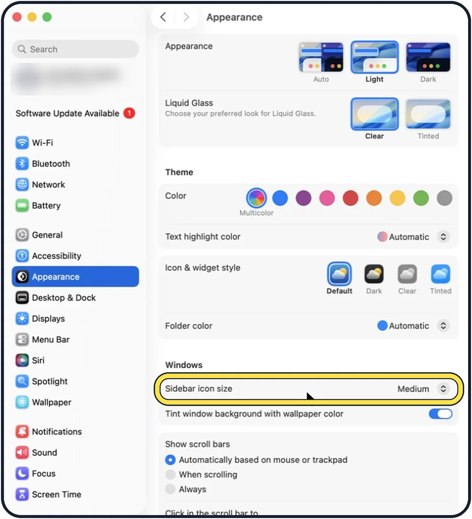 Mac screenshot: Set Sidebar icon size