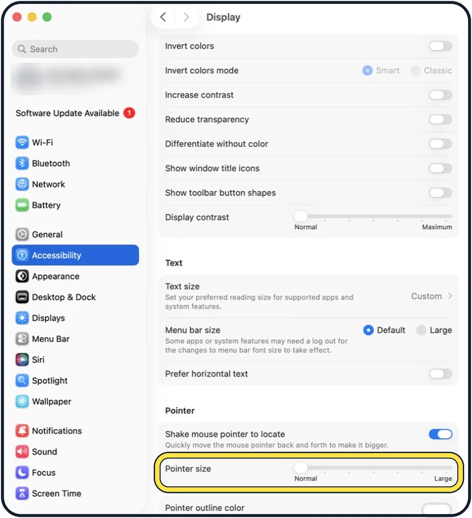 Mac screenshot: Drag the Pointer size slider