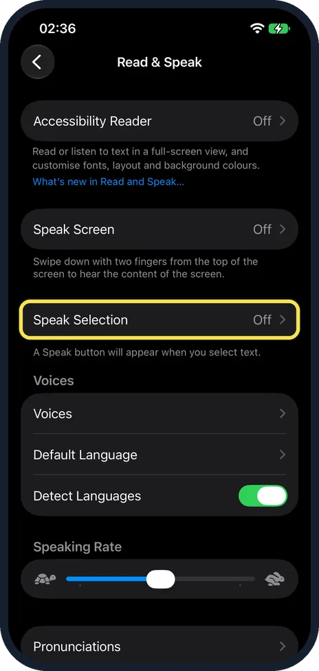 iPhone screen: Tap Speak Selection