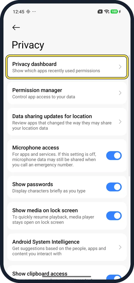 Android screenshot: Tap Privacy dashboard