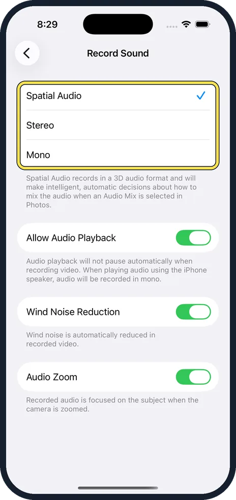 iPhone screen: Tap Spatial Audio, Stereo or Mono