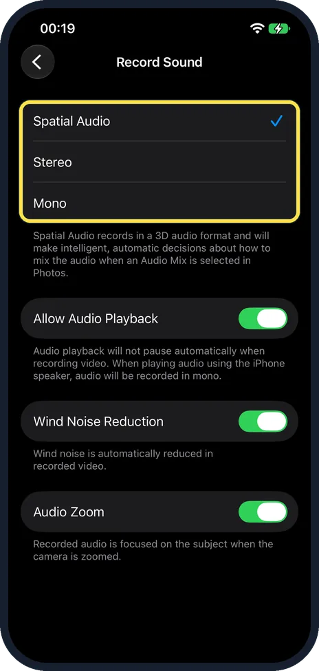 iPhone screen: Tap Spatial Audio, Stereo or Mono
