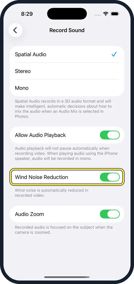 iPhone screen: Decide about Wind Noise Reduction